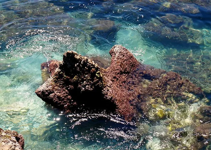 Lägenhet Starnerja En Stella Maris *