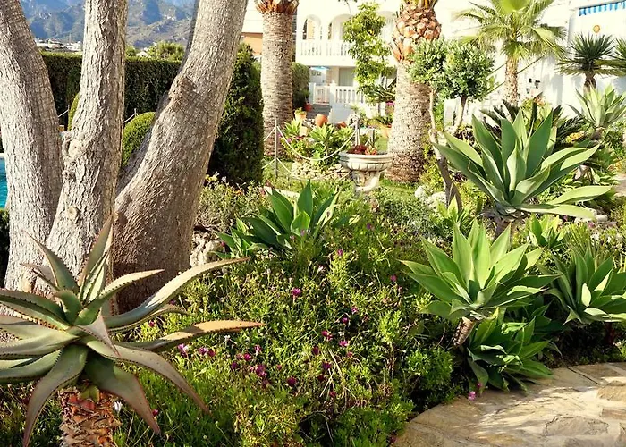 Starnerja En Stella Maris *