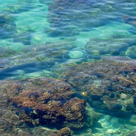 Starnerja En Stella Maris *