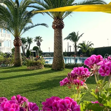 Starnerja En Stella Maris