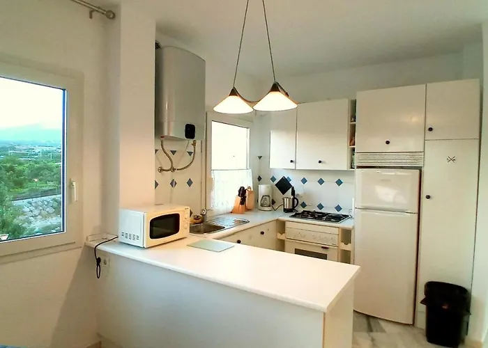 Starnerja En Stella Maris * ネルハ