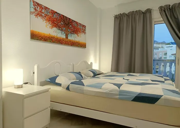 Starnerja En Stella Maris * ネルハ