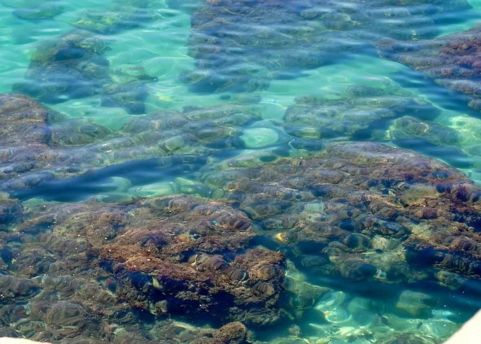 Starnerja En Stella Maris *