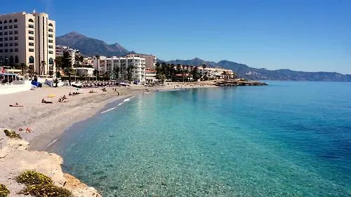 Starnerja En Stella Maris ネルハ