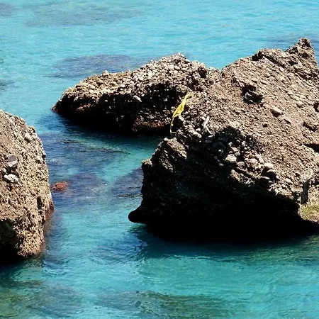 Starnerja En Stella Maris Apartment