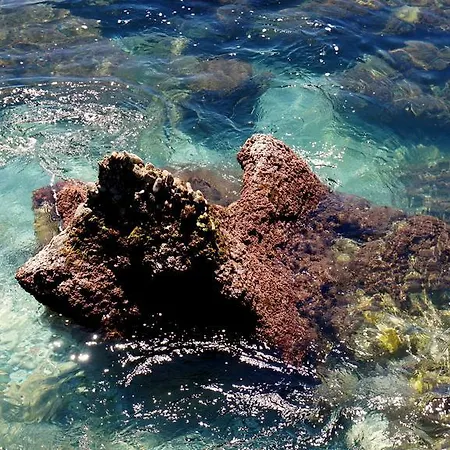 דירה Starnerja En Stella Maris *