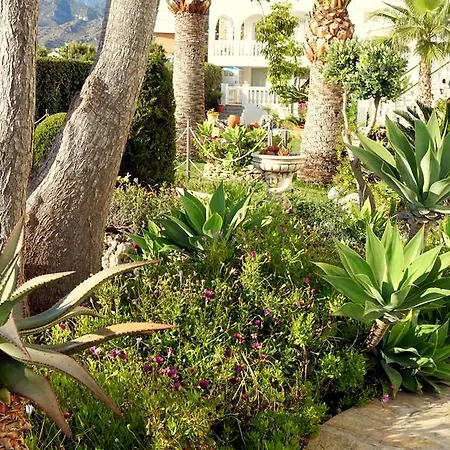 Starnerja En Stella Maris *