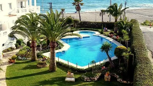 Starnerja En Stella Maris נרחה