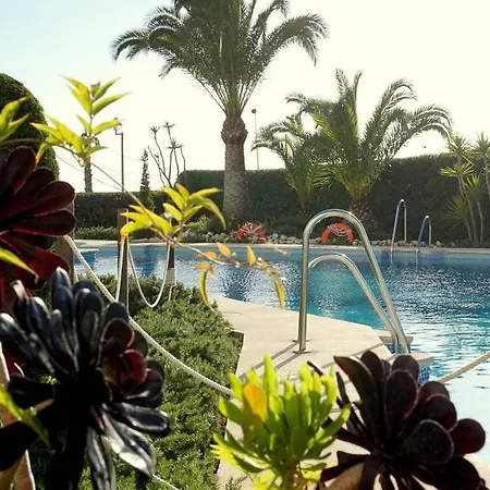 Starnerja En Stella Maris Нерха